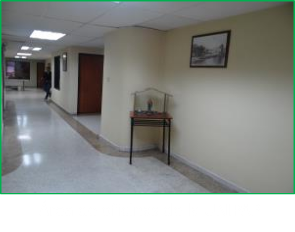 Area de Rectorado